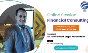 Financial Consulting Session